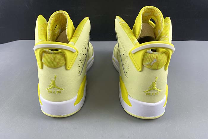 air jordan 6 gs  floral 543390-800