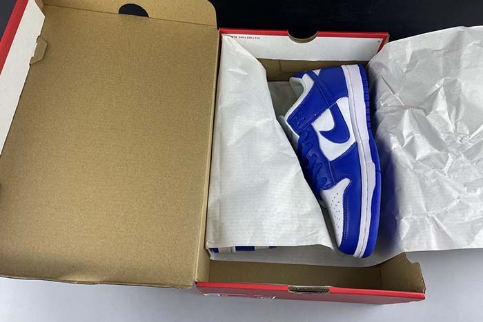 nike sb dunk low cu1726-100