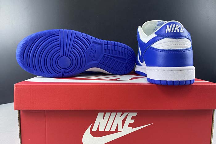 nike sb dunk low cu1726-100