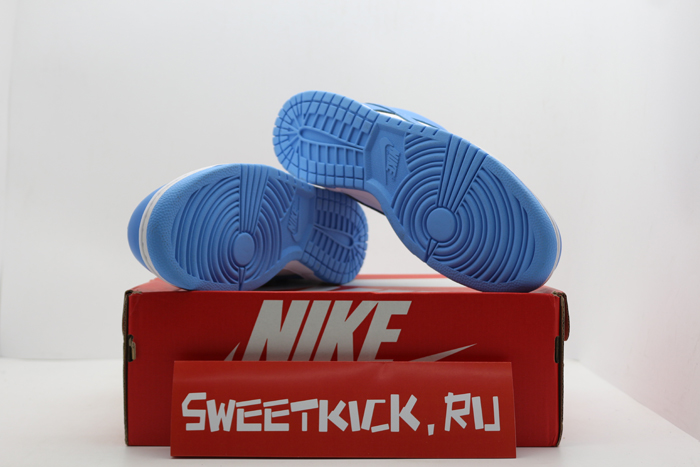 nike dunk retro university blue  dd1391-102