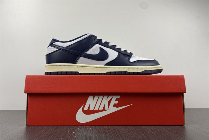 nike dunk low  dd1503-115