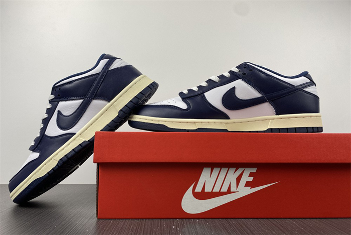 nike dunk low  dd1503-115