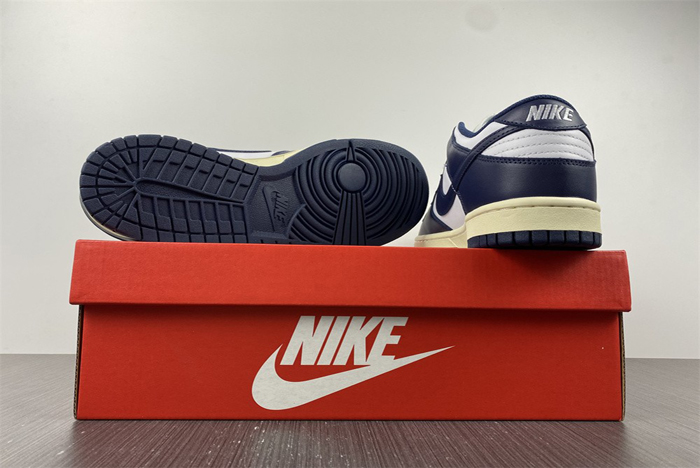 nike dunk low  dd1503-115