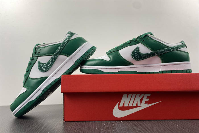 nike dunk low sb  dh4401-102