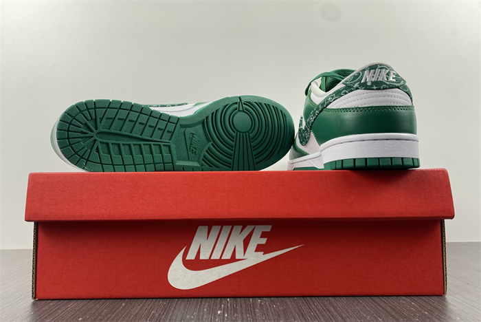 nike dunk low sb  dh4401-102