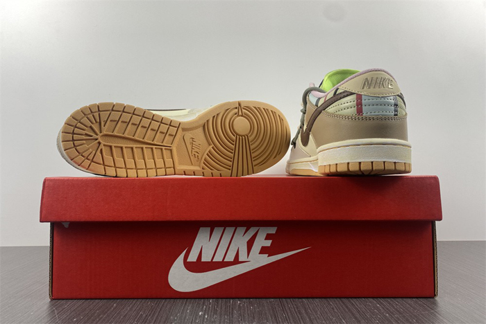 nike dunk low retro dh4401-102(1)