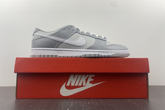 nike dunk low retro  dj6188-001