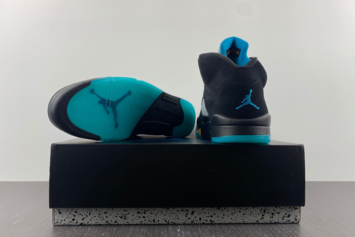 air jordan 5 “aqua” dd0587-047
