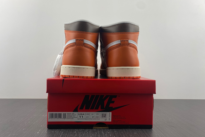 air jordan 1 high "starfish"  do9369-101