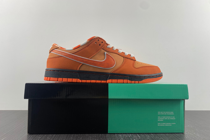 concepts x nike sb dunk low  fd8776-800