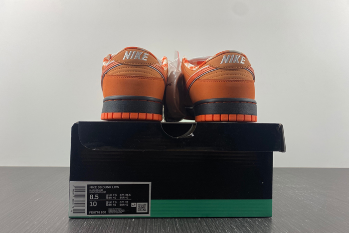 concepts x nike sb dunk low  fd8776-800