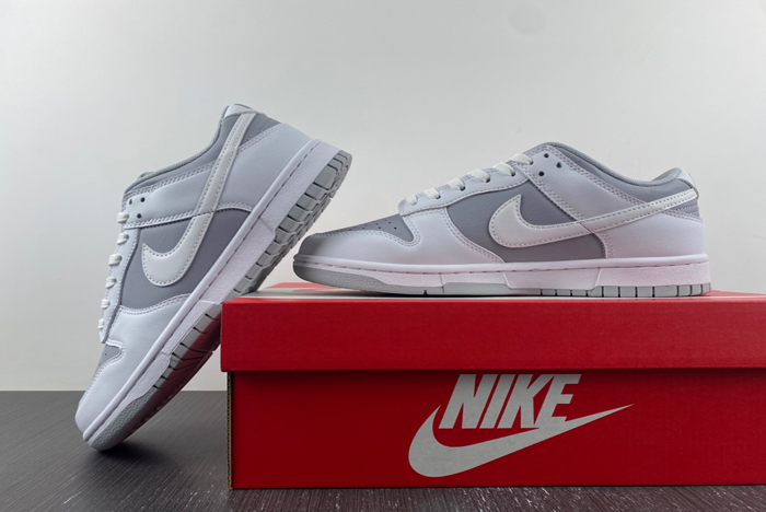 nike dunk low retro dj6188-003