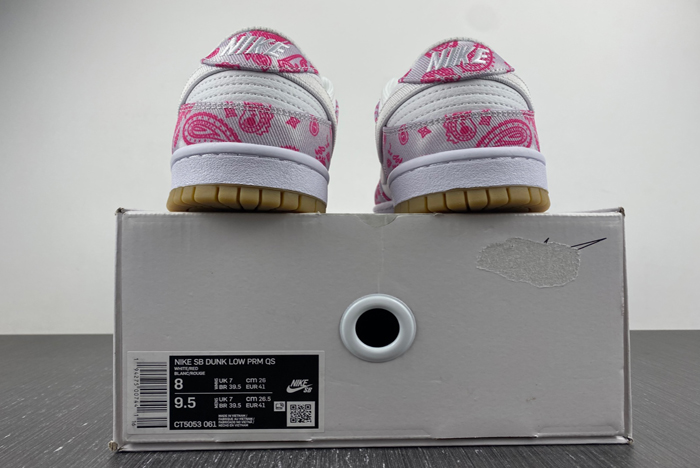 nike sb dunk low retro sp  ct5053-061