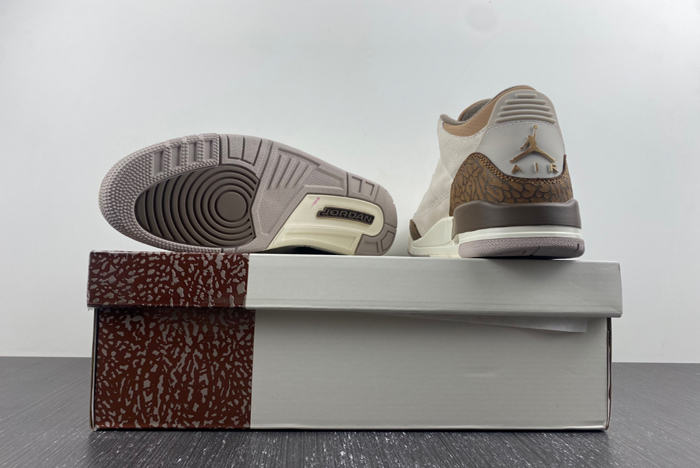 air jordan 3 “palomino” ct8532-102
