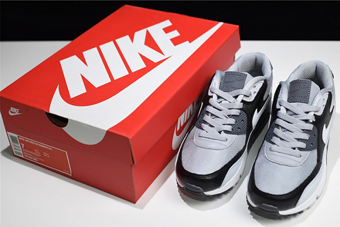 nike air max 90 essential - 537384-083